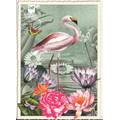 Flamingo - Postkarte