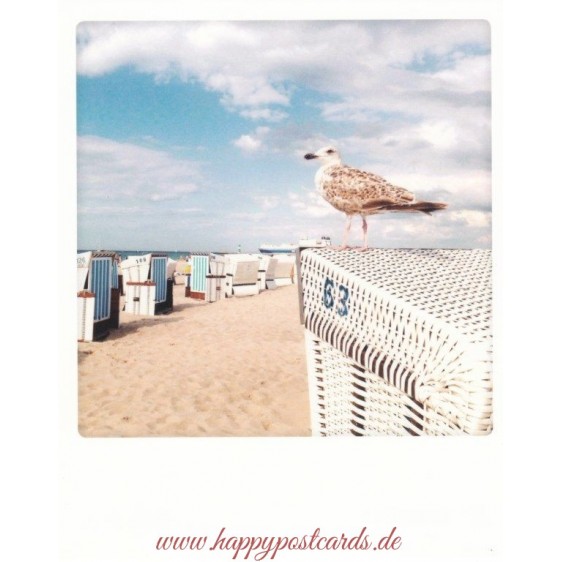 Bird and Beach chair - PolaCard