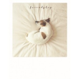 Schlafender Hund Friendship - PolaCard