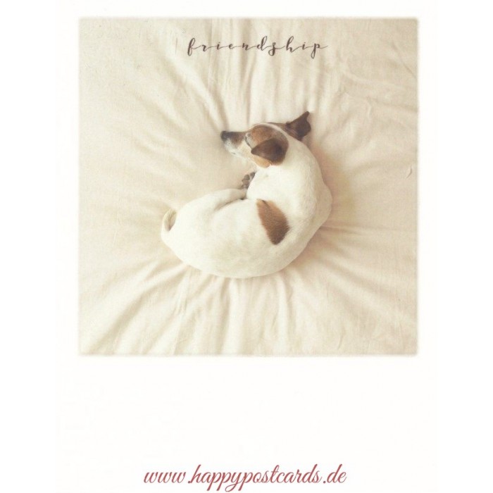PolaCARD "Sleepy Pup" Postkarte Postkarte Grußkarte Postcrossing Hund Fotokarte 