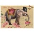 Elefant - Tausendschön - Postkarte
