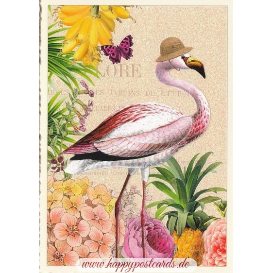 Flamingo - Tausendschön - Postcard