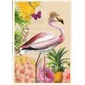 Flamingo - Tausendschön - Postcard