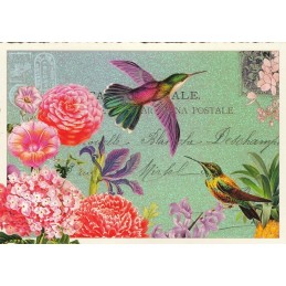 Hummingbird - Tausendschön - Postcard