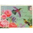 Hummingbird - Tausendschön - Postcard