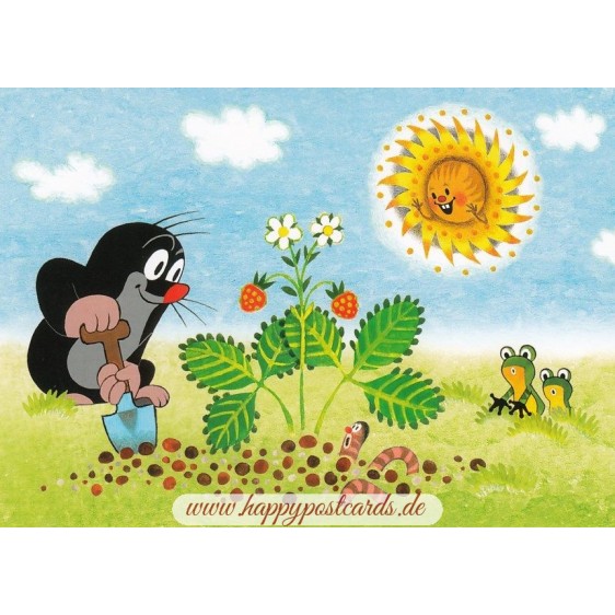The Mole with a strawberry plant - Postcard