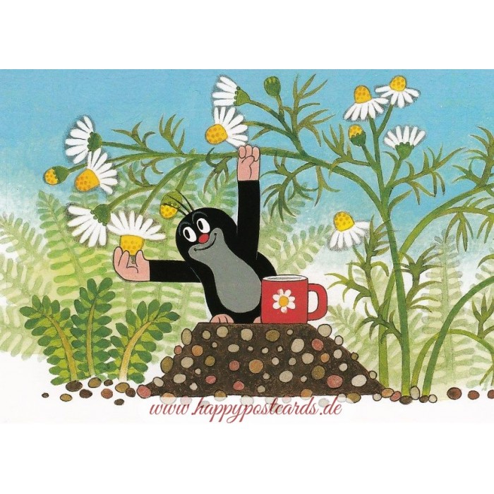POSTCARDS | Krtek - The Little Mole | The Mole picking chamomile - Krtek -  Postcard | modern times