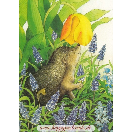117 - Hedgehog and grape hyacinth - Postcard