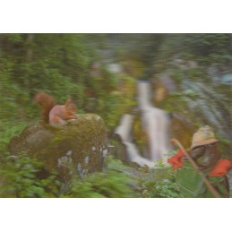 3D Schwarzwald mit Eichhörnchen - 3D Postkarte