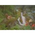 3D Black Forest with squirrel - 3D Postcard