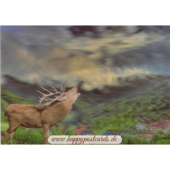 3D Black Forest with deer - 3D Postcard