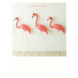 Flamingos - PolaCard