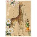 Giraffe - Tausendschön - Postcard