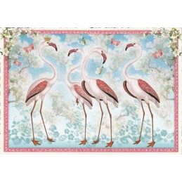 4 Flamingos - Tausendschön - Postcard