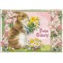 Happy Easter - Bunny with a bouquet of flowers - Tausendschön - Postcard