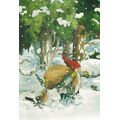 225 - Zwerg mit Vogelfutter im Schnee - Löök Postkarte