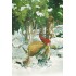 209 - Dwarf with birdseeds in snow - Postcard