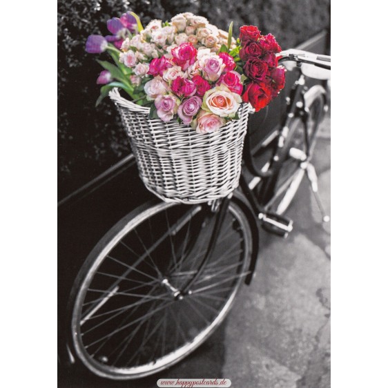 Bicycle with colourful flowers - Contrasts -  Postcard