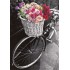 Bicycle with colourful flowers - Contrasts -  Postcard