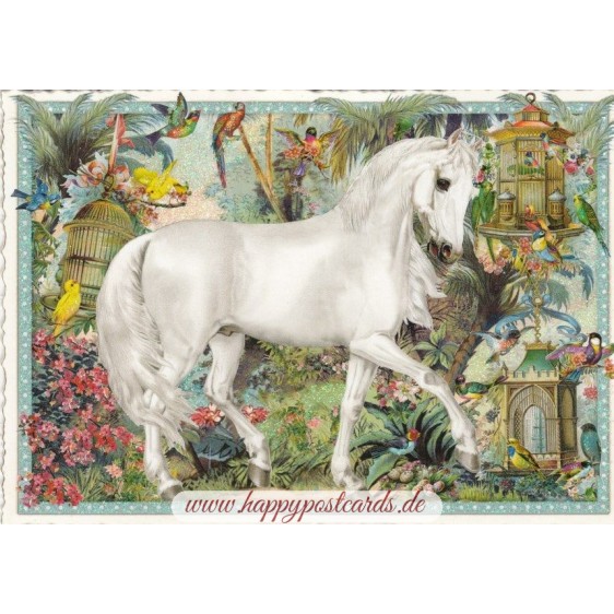 Pferd - Tausendschön - Postkarte