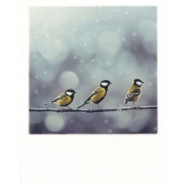 Drei Vögel - Weihnachtskarte - PolaCard