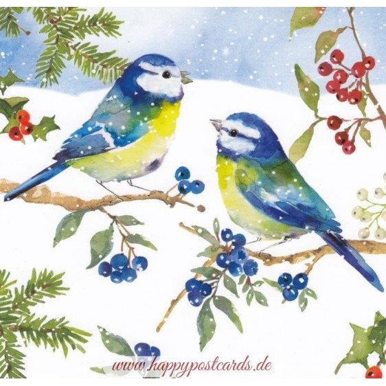 Blue tits in the snow - Carola Pabst Postcard