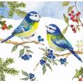 Blaumeisen im Schnee - Carola Pabst Postkarte