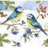 Blaumeisen im Schnee - Carola Pabst Postkarte