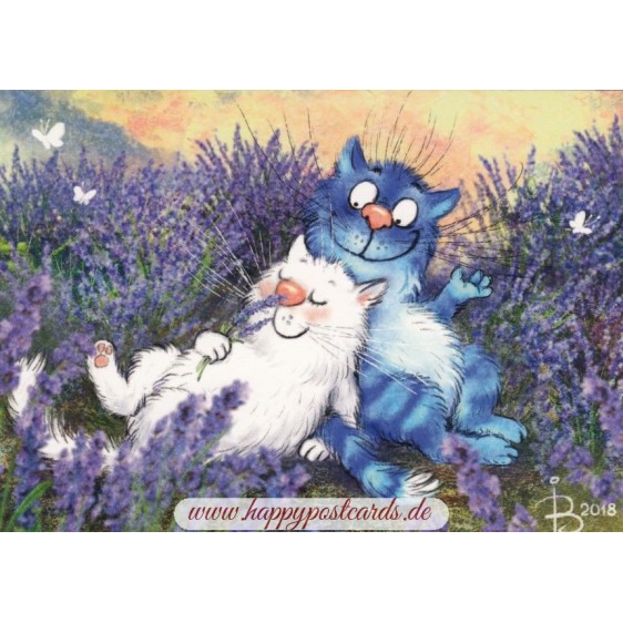 Lavendel - Blaue Katzen - Postkarte