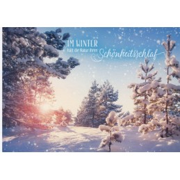 Im Winter - Schönheitsschlaf - Viewcard