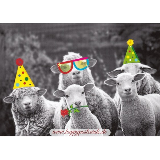 Sheep having a Party