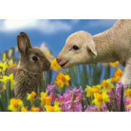 Lamb and Bunny - Easter Postcard
