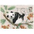 Panda - Tausendschön - Postkarte