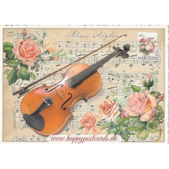 Violin - Tausendschön - Postcard