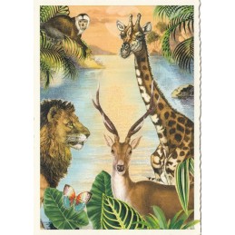 Jungle - Tausendschön - Postcard