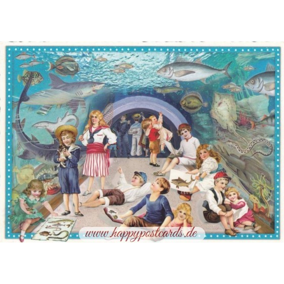 Aquarium - Tausendschön - Postkarte