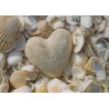 3D Heart and shells - Postcard