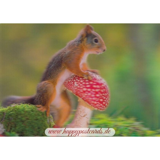 3D Squirrel with fly agaric - Postcard