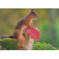 3D Eichhörnchen mit Fliegenpilz - Postkarte