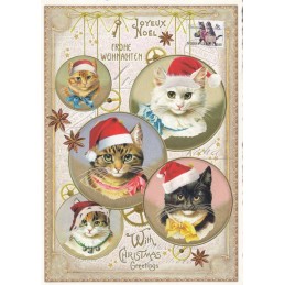 Frohe Weihnachten - Weihnachtskatzen - Tausendschön - Weihnachtskarte