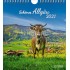Schönes Allgäu 2021 - Schöning Top - Kalender
