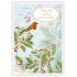 Frohes Fest - Birds - Quire- Christmascard