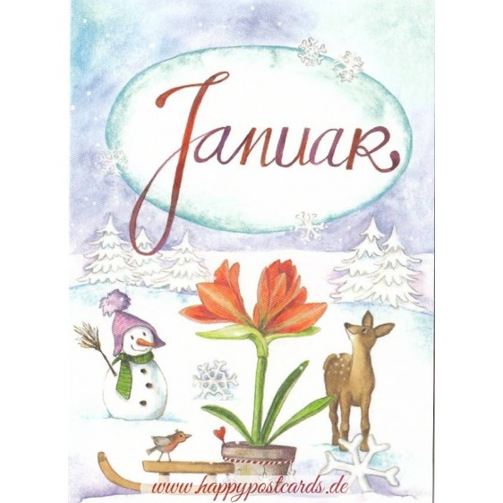 Januar - Amaryllis - Monthly Postcard