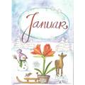 Januar - Amaryllis - Monats-Postkarte