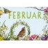 Februar - Carola Pabst - Monthly Postcard