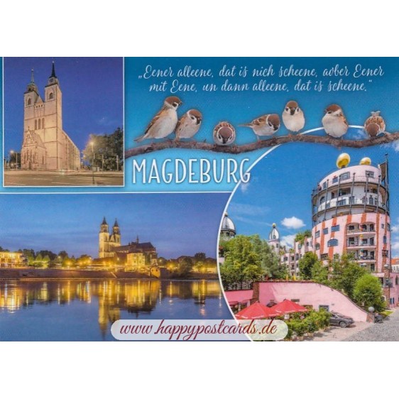 Magdeburg - Sparrows - Viewcard