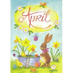 April - Narcissus - Monthly Postcard