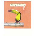 Happy Birthday Toucan - Pickmotion Postcard