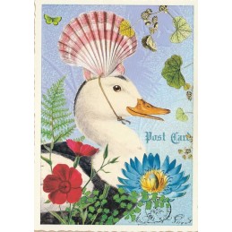 Duck - Tausendschön - Postcard