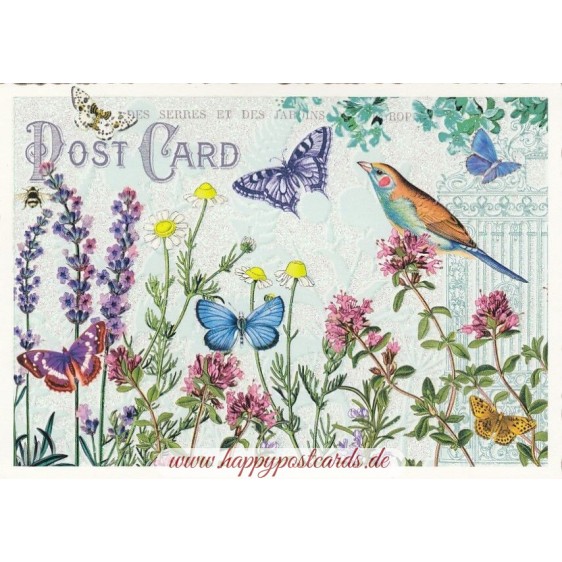 Wiese mit Schmetterlingen - Tausendschön - Postkarte